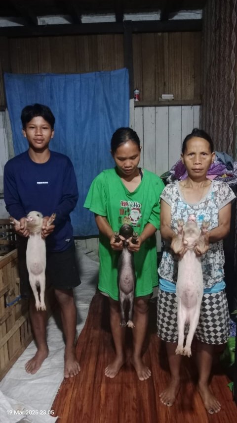 PEMBERIAN BANTUAN KETAHANAN PANGAN TAHUN 2025