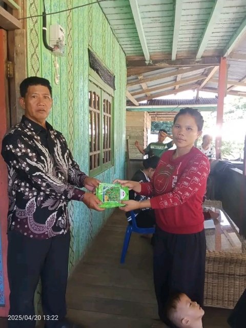 PEMBERIAN BANTUAN BIBIT DAN PADI TAHUN 2025