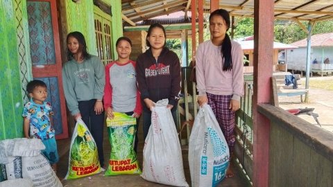 PEMBERIAN BANTUAN BIBIT DAN PADI TAHUN 2025